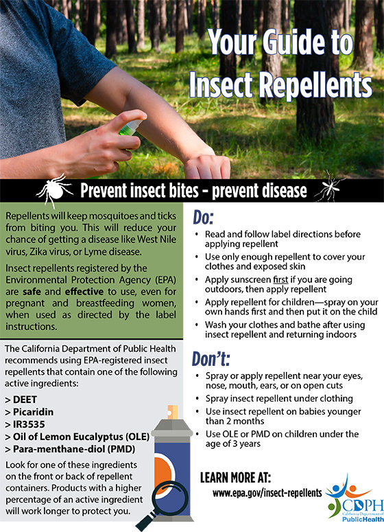 Your Guide to Insect Repellents
