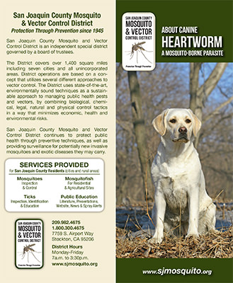 About Canine Heartworm