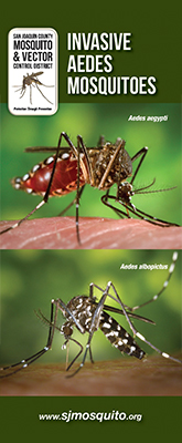 Invasive Aedes Brochure