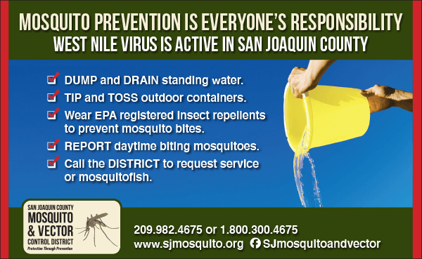 Mosquito Prevention Is Everyone's Responsibility